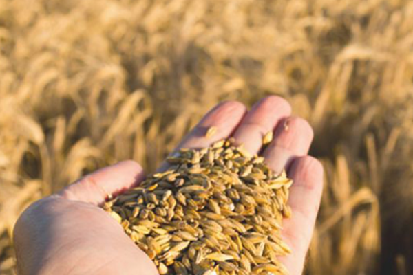 CRM no Agro: cultivando relações, colhendo resultados!