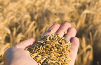 CRM no Agro: cultivando relações, colhendo resultados!